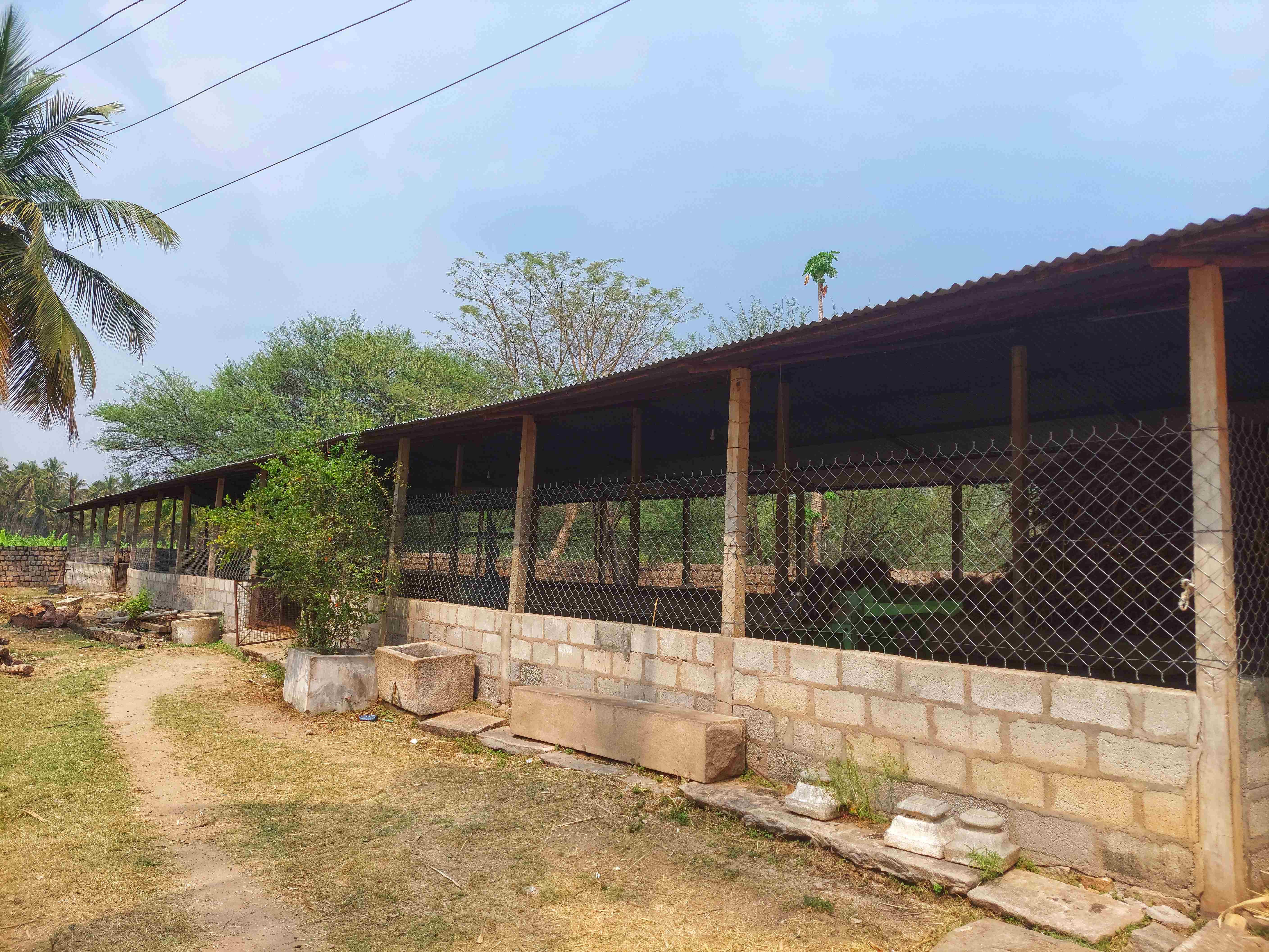 ಸಾವಯವ ಕೃಷಿ